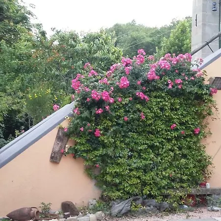 Ponte Dei Leoni Holiday home