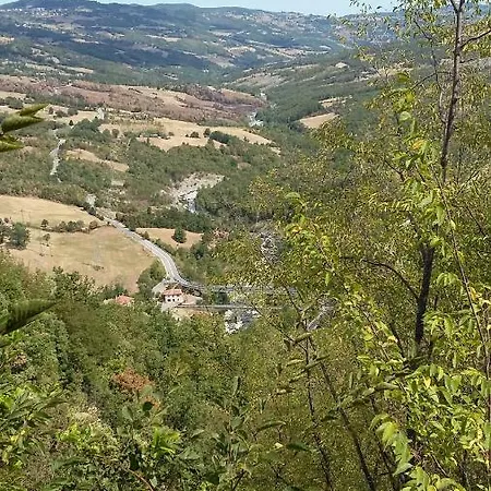 Ponte Dei Leoni *