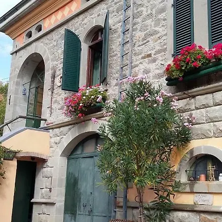 Ponte Dei Leoni